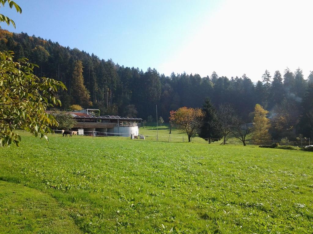 Ferienhaus Sandra Хёрбранц Номер фото